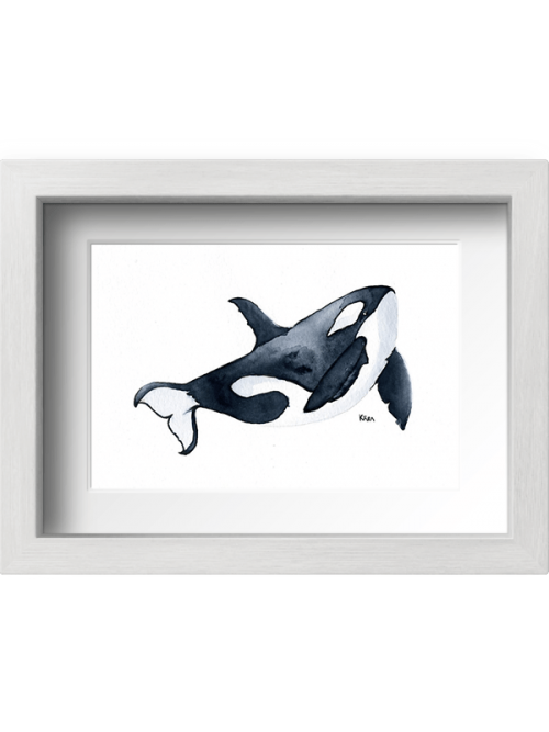 Acuarela orca con marco