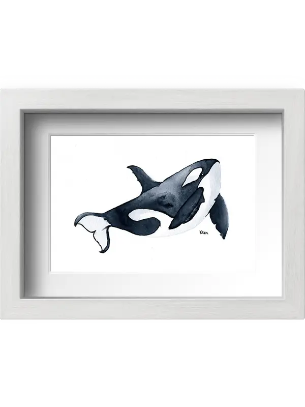 Acuarela orca con marco