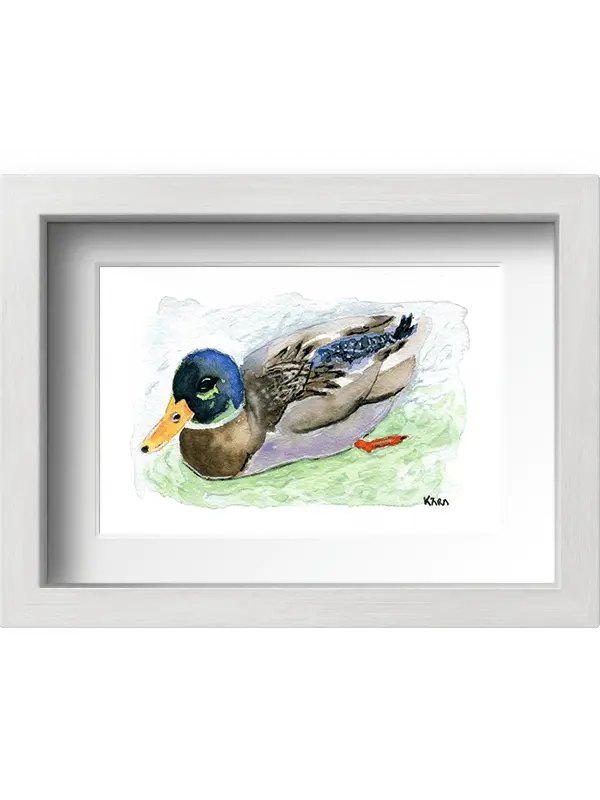 Acuarela pato con pato