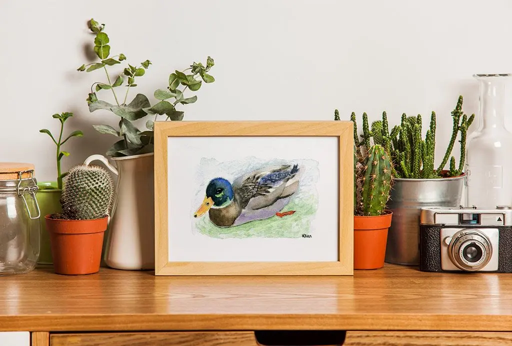 Acuarela pato enmarcada