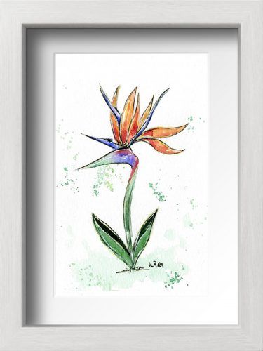 Acuarela flor con marci
