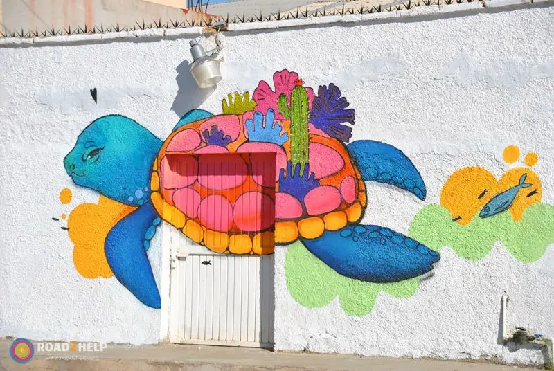 Eva Bracamontes. MEMORIAS DEL MANGLITO.