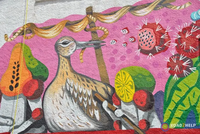 Koctel. ELOGIO A LA PITAYA.