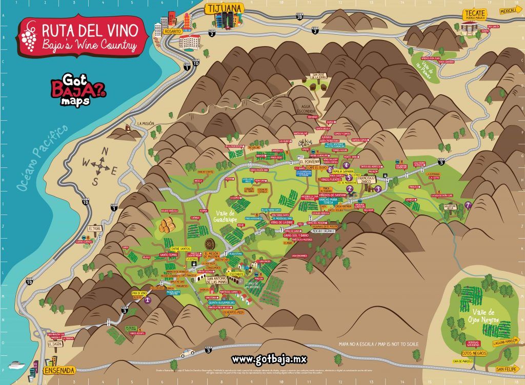 Mapa ruta del vino. © GotBaja? Maps. www.gotbaja.mx