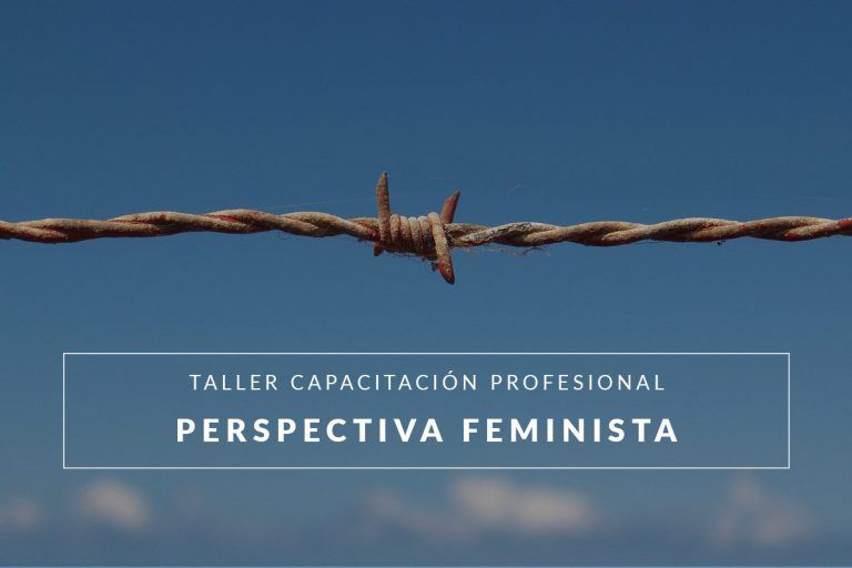 Taller implementación de perspectiva feminista en procesos